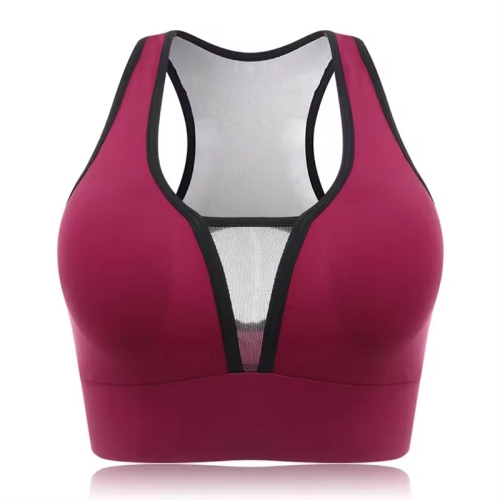 Fitness Bra